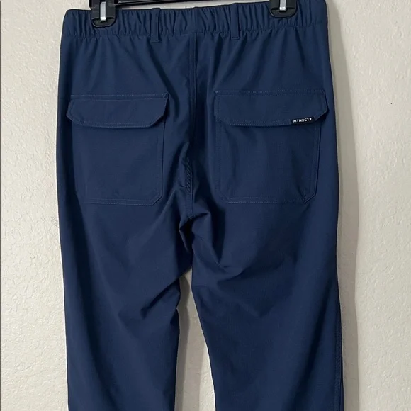 Like New! CoalaTree Trailhead Pants in Dark Blue in SIze M-Slim